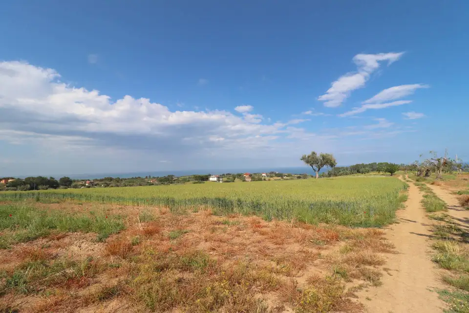 Casolare con 8 ettari e vista mare a Cupra Marittima 15