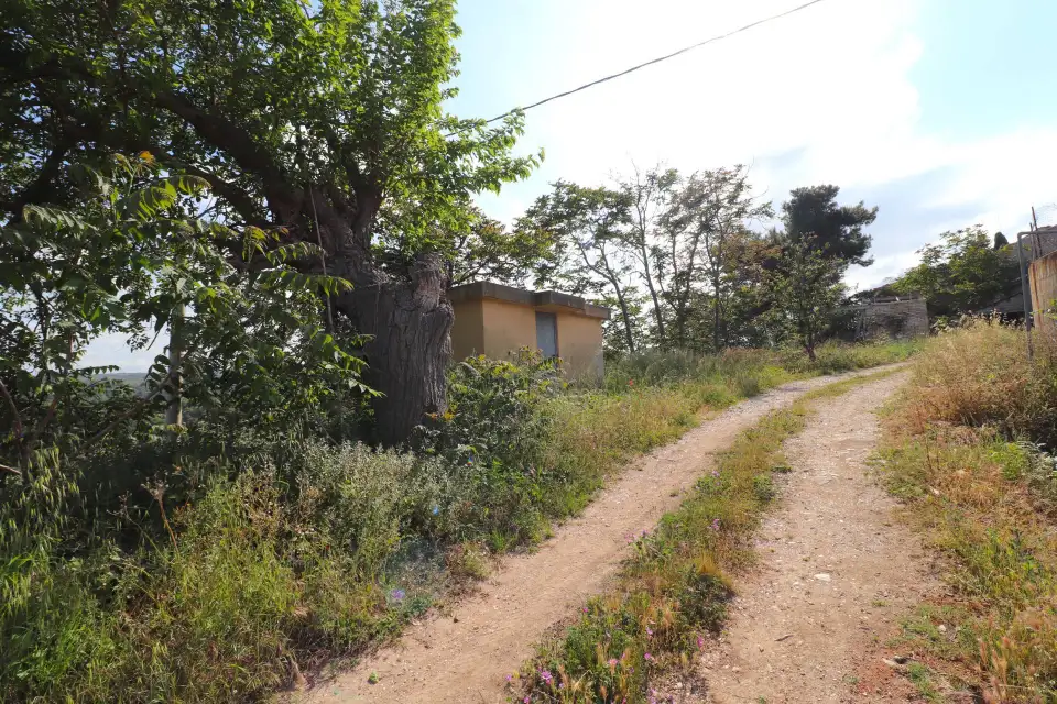 Casolare con 8 ettari e vista mare a Cupra Marittima 12