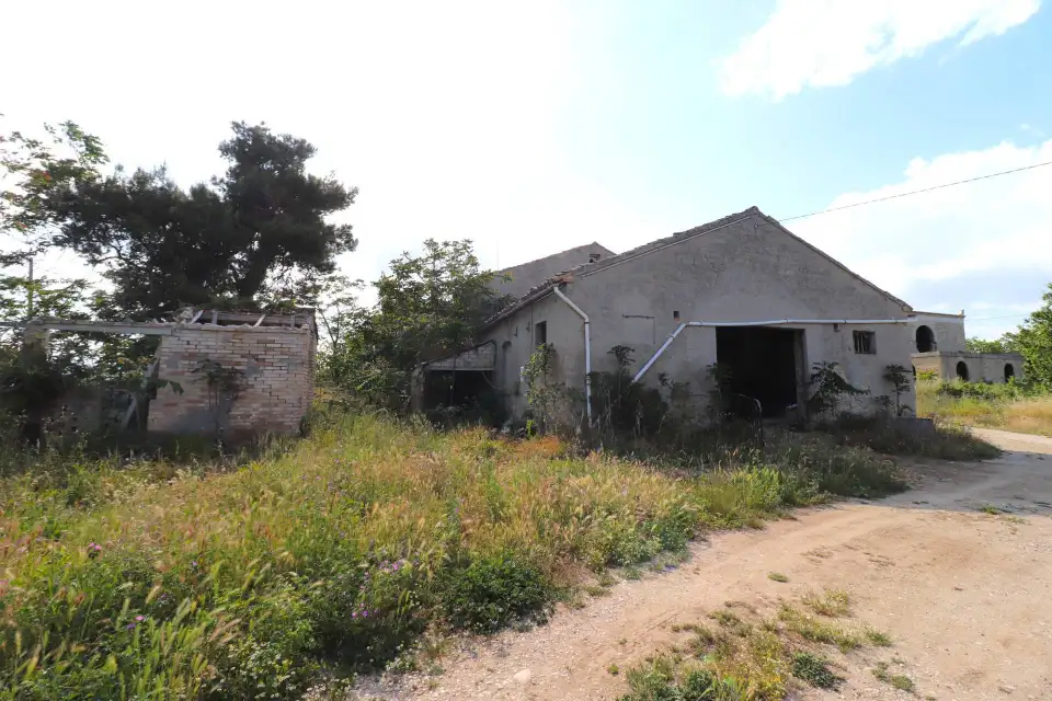 Casolare con 8 ettari e vista mare a Cupra Marittima 9
