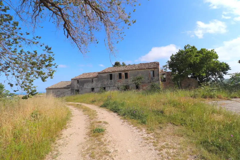 Casolare con 8 ettari e vista mare a Cupra Marittima 8