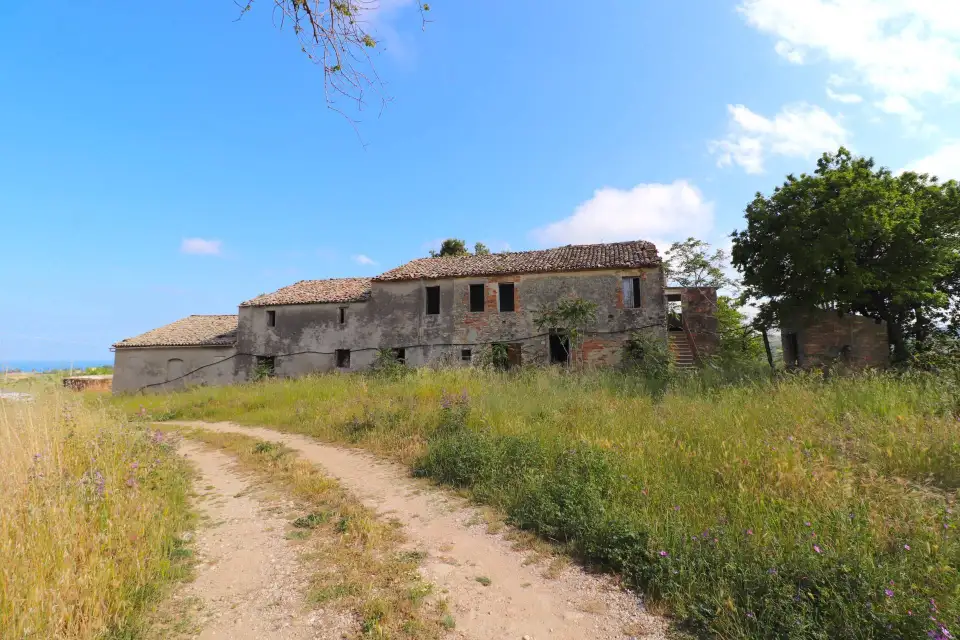 Casolare con 8 ettari e vista mare a Cupra Marittima 7