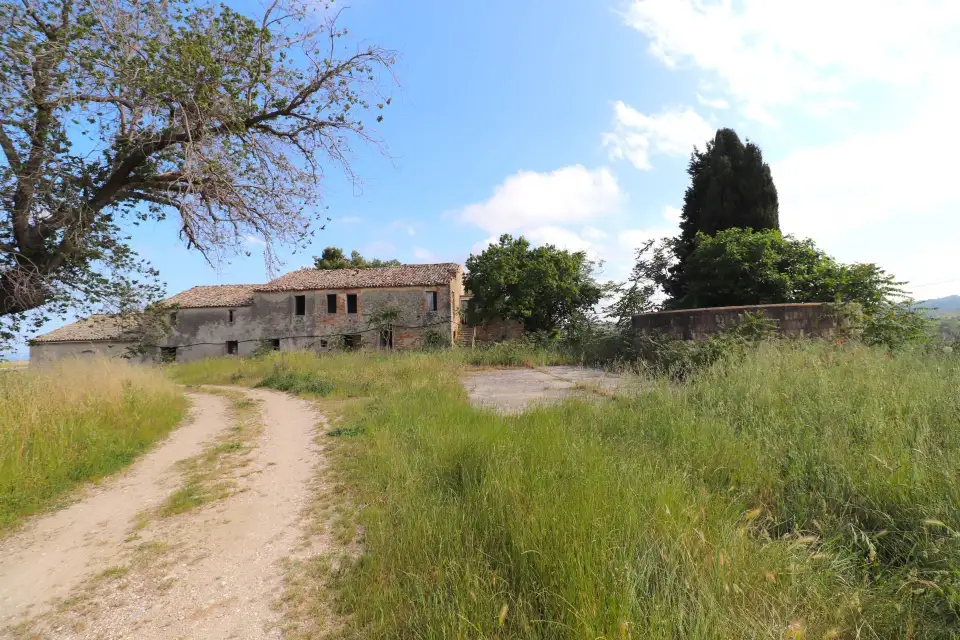 Casolare con 8 ettari e vista mare a Cupra Marittima 6
