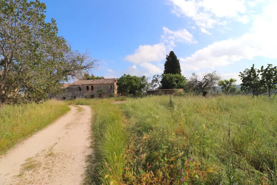 Casolare con 8 ettari e vista mare a Cupra Marittima 5