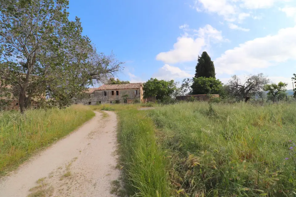 Casolare con 8 ettari e vista mare a Cupra Marittima 3