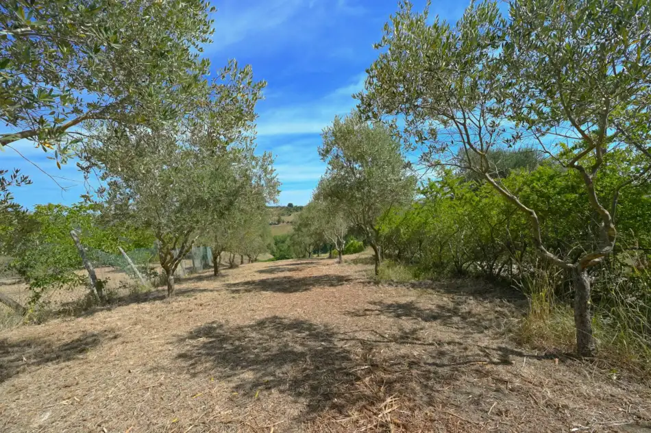 Casale ristrutturato con vista sui vigneti 28