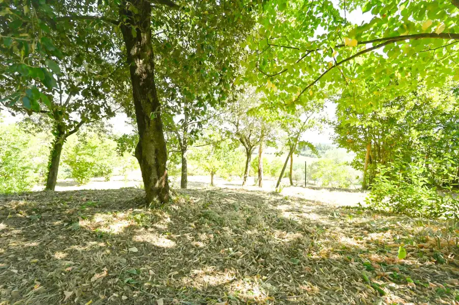 Casale ristrutturato con vista sui vigneti 7